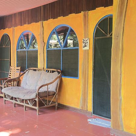 La Palapa Hut Nature Hostel Пуэрто-Хименес Экстерьер фото