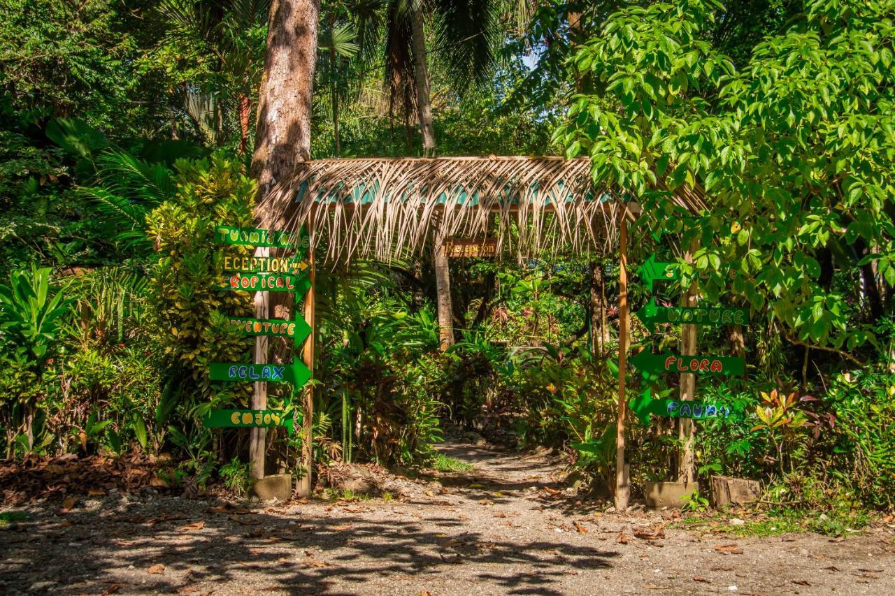 La Palapa Hut Nature Hostel Пуэрто-Хименес Экстерьер фото
